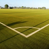 Artificial Turf Sport Surfacing Maintenance 7