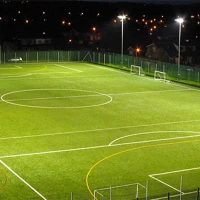 Artificial Rugby Surface Maintenance 7